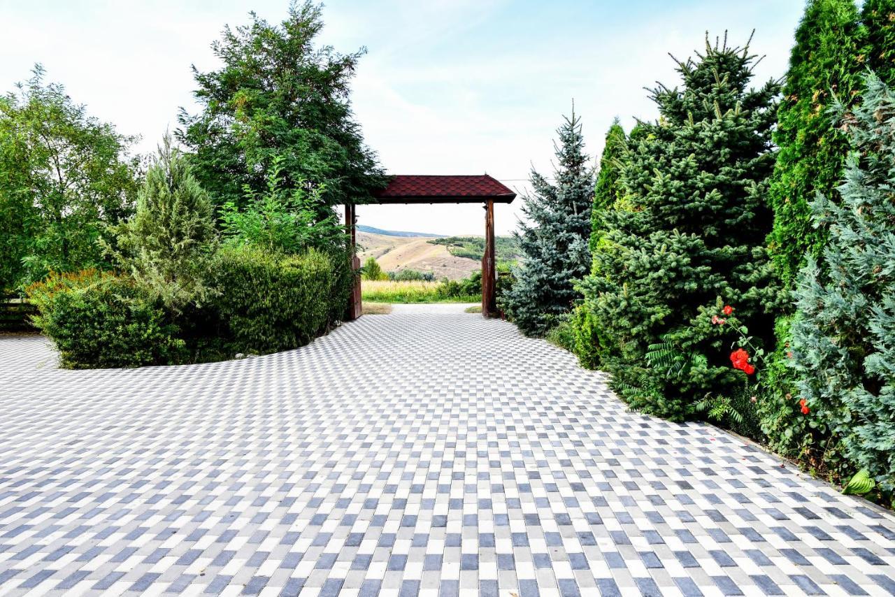 ホテルCasa Moteasca Mihai Viteazu  エクステリア 写真
