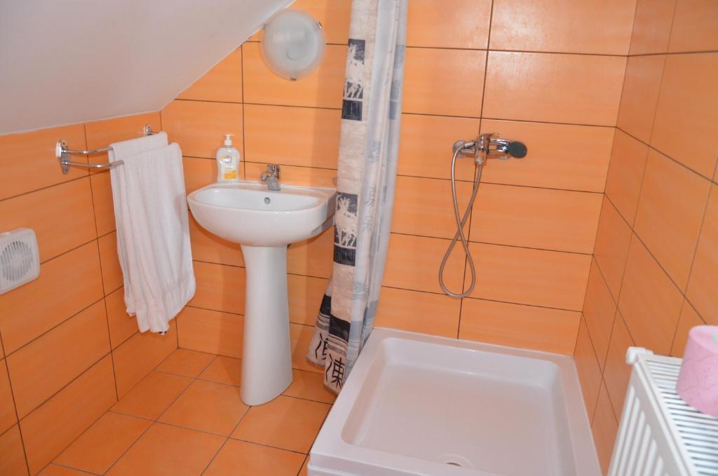 ホテルCasa Moteasca Mihai Viteazu  部屋 写真